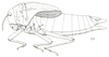 Prostalia granulata (Stål, 1873): Fig. 26.2. female (body length 60 mm, pronotum 30 mm). (Otu).