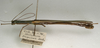CollectionObject 1560381; NMW 1141, 66fb4e18-9013-4e4a-aa4f-8c7c7fdb6d18: copyright NMW, Vienna. male, lateral view (syntype). (CollectionObject).