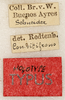 CollectionObject 1531651; 3296a5d0-48c9-49ec-879d-9c31ea45c363: labels (syntype). (CollectionObject).