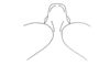Vilerna aeneooculata (De Geer, 1773): Fig. 2. head, dorsal view. (Otu).