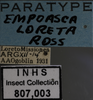 Other: !! display not done !! on Empoasca (Empoasca) loreta Ross, 1959: Labels. Labels for the specimen used for the dorsal and lateral images. (Observation).