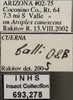 Other: !! display not done !! on Cuerna balli Oman & Beamer, 1944: Labels. (Observation).