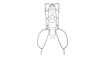 Leptalacris fastigiata Descamps & Rowell, 1978: Fig. 2. male head, dorsal view. (Otu).