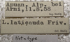 labels. Depicts CollectionObject 1506473; 67fc0f01-d5e1-4a2c-b770-f2e3e8a03f9c, a CollectionObject.