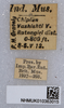 CollectionObject 1578677; f43383f0-84b7-4f97-8b15-9e88e32fbc37: labels. (CollectionObject).