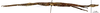 CollectionObject 1562336; bf5e6a6a-ca3a-49bb-987f-8d12faab2441: copyright MNHN, Paris. female, lateral view (syntype). (CollectionObject).
