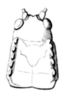 Steirodon (Posidippus) barellum (Pictet, 1888): Pl. 1, Fig. 4. female head and pronotum, dorsal view (pronotum length 9 mm). (Otu).