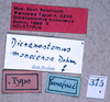 labels (holotype). Depicts CollectionObject 1534505; fb31cbfd-ab02-49a8-9771-15fe1a7d62c8, a CollectionObject.