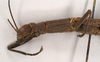 CollectionObject 1560632; NHMUK(SF IMPORT DUPLICATE) 845139, 9a2db723-7603-46b6-9b6c-c654ddfdce00: copyright Natural History Museum, London. female of synonym Aschipasma catadromus: head and thorax, lateral view (lectotype). (CollectionObject).