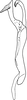 Stylus: !! display not done !! on Irenaneura dworakowski Cao, Huang & Zhang, 2012: Stylus (lateral view). (Observation).