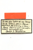 CollectionObject 1589288; b467f036-b363-47f2-9f2f-842867046f09: male, labels (potential type). (CollectionObject).