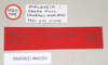 CollectionObject 1561217; NHMUK(SF IMPORT DUPLICATE) 845233, 07cb12e2-b997-46c4-bc57-4dda082cfe91: copyright Natural History Museum, London. female, data labels (holotype). (CollectionObject).