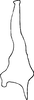 Stylus: Stylus. (Observation).