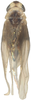 Habitus, dorsal view on Anufrievia fusina Yang & Zhang, 2018: Habitus. (Observation).