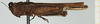 CollectionObject 1543428; 4fff8296-0a0d-4af4-8fa4-cae2c07ab463, NHMUK010924469: female (holotype), lateral view. (CollectionObject).