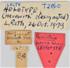 CollectionObject 1618751; 9653254d-1d29-4325-84c6-9a563f914363: (CollectionObject).