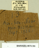 CollectionObject 1573067; 42b13edb-6d36-43f9-8e8c-61f945553cbe: Copyright Natural History Museum, London. Labels from non-type (female) in BM(NH). (CollectionObject).