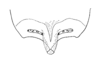 Dichroplus intermedius Ronderos, 1976: 19. female, subgenital plate. (Otu).