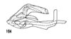 Aedeagus, lateral view on Cixius dislogicus Kramer, 1981: (Observation).