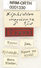 CollectionObject 1530613; 97680aca-b438-4491-86a4-4c961f30e976: labels (syntype). (CollectionObject).