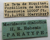 CollectionObject 1521064; f1cc66c1-142c-44bc-b195-f5361b6852ea: Image Cigliano, M.M. labels (paratype). (CollectionObject).