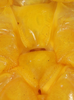 CollectionObject 1567527; 9803e4c0-f244-427b-9ea6-18b4e8c352db: female, sternum. (CollectionObject).