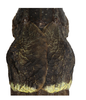 CollectionObject 1596259; c080a2c0-23b7-4f23-8529-3a7507e2a5fb: copyright NKUM Nankai. male forewings, dorsal view (paratype). (CollectionObject).