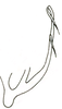 Aedeagus, lateral view on Carnoseta colomella (DeLong, 1981): Male: aedeagus, lateral view. (Observation).