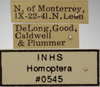 Other on Athysanella (Gladionura) molesta Ball & Beamer, 1940: Labels - Female. Labels for the female specimen. (Observation).
