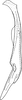 Stylus: !! display not done !! on Zygina (Zygina) suavis Rey, 1891: Stylus. (Observation).