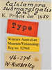CollectionObject 1552899; 6c648c45-021f-4971-a0df-4807cf213542: (CollectionObject).
