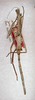 CollectionObject 1561467; 31527d39-1620-4b9e-b443-ebfc068bbbb5: copyright ANSP. female nymph (holotype). (CollectionObject).