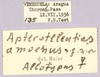 CollectionObject 1499556; 6256e2d6-90cd-456e-b10f-dd74aa0ab677: labels (allotype). (CollectionObject).