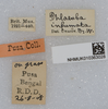 labels. Depicts CollectionObject 1577885; 9cab5be5-9180-4d1f-ae77-6da30f7ec35b, a CollectionObject.