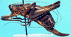 CollectionObject 1499275; 76dae807-b922-49da-a389-8a4d4caa4fe3: female, lateral view (holotype). (CollectionObject).