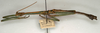 CollectionObject 1562534; NMW 755, 831c9e06-69f7-42af-9793-472bd0d65a12: copyright NMW, Vienna. male, lateral view (syntype). (CollectionObject).