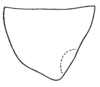 Conocephalus (Perissacanthus) strictoides (Caudell, 1906): Pl. XXII, Fig. 19. outline of lateral lobe of pronotum (male). (Otu).