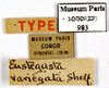 CollectionObject 1587363; MNHN(SF IMPORT DUPLICATE) MNHN-EP-EP983, d5d054bd-4f6e-4416-bc7d-879c0c6d7c0e: CC BY-NC-ND 4.0/MNHN - Depraetere Marion - 2014. Syntype, female, of variegata Shelford, 1907. Specimen number: MNHN-EP-EP983. http://coldb.mnhn.fr/catalognumber/mnhn/ep/ep983. (CollectionObject).
