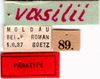 CollectionObject 1505220; e48cec96-838a-4408-a34f-9f62eb5cdfaf: labels (paratype). (CollectionObject).