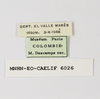 CollectionObject 1588731; 69a88024-dbba-4d30-b505-fab56f7a75ea: labels. (CollectionObject).