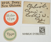 CollectionObject 1517897; ad9f2a00-e5dc-48ae-a87b-1ca3b54a9626, NHMUK10924424: labels (holotype). (CollectionObject).