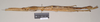 CollectionObject 1558980; 9ce04cf2-0fdf-46a7-a999-2ee5ae1f702f: copyright Natural History Museum, London. female, lateral view (syntype). (CollectionObject).;CollectionObject 1558981; 1d8be626-f38d-4f0e-9cc5-abf9cf7fbfdf: copyright Natural History Museum, London. female, lateral view (syntype). (CollectionObject).