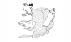 Kyphiacris andeana Carbonell & Descamps, 1978: Fig. 29. phallic complex, lateral view. (Otu).