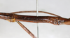 CollectionObject 1589222; NMW 655', 4f6e07bd-0b60-4a7d-beb0-83fc4abc10da: copyright NMW, Vienna. male: mid-body, lateral view (lectotype). (CollectionObject).