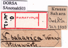 CollectionObject 1502321; 6be44017-fd8d-48ff-99c9-fef5366f243f, DORSA SAnotsahS03: labels (syntype). (CollectionObject).