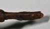 CollectionObject 1561664; NTUC 709, de4ff78e-e94d-4e85-8b94-37b567dfe607: copyright NTUC. female: end of abdomen, dorsal view (holotype). (CollectionObject).
