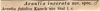 CollectionObject 1500497; 98ebb98f-90f3-4cf5-a007-171774d8c514, DORSA BTaraincHTM: label (holotype). (CollectionObject).