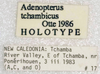 CollectionObject 1523701; 39776c6b-d87b-422a-be07-a09028b39bc9: labels (holotype). (CollectionObject).