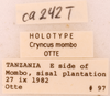 CollectionObject 1522771; 76b16737-8961-45be-8463-c45efe888e25: Male, labels (holotype). (CollectionObject).