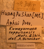Kuwayamaea sapporensis Matsumura & Shiraki, 1908: labels. (Otu).